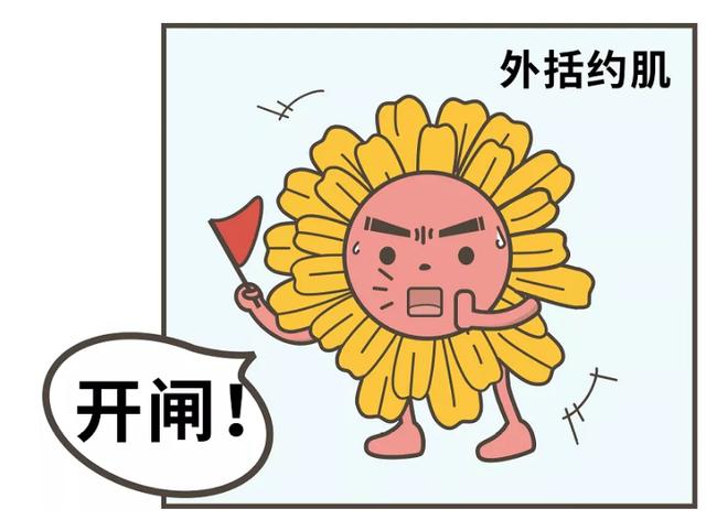 漫画科普：气态还是固态，它为何如此神秘？