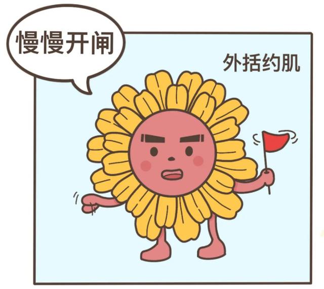 漫画科普：气态还是固态，它为何如此神秘？