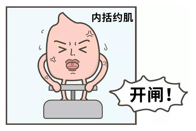 漫画科普：气态还是固态，它为何如此神秘？