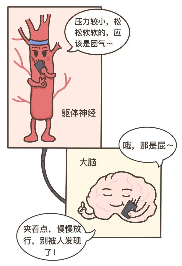 漫画科普：气态还是固态，它为何如此神秘？