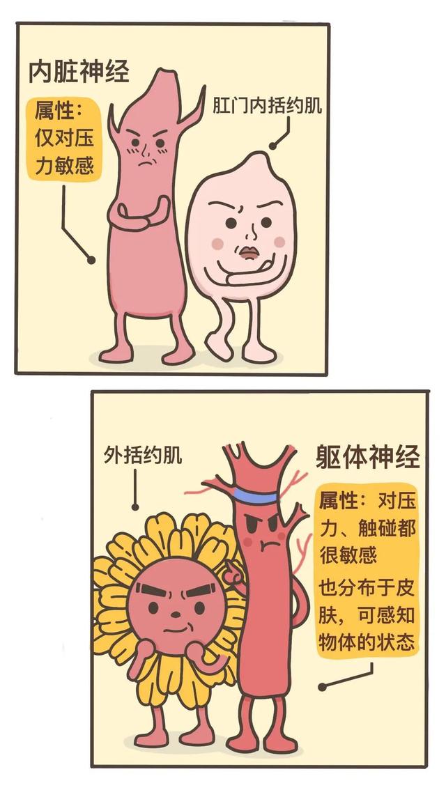 漫画科普：气态还是固态，它为何如此神秘？