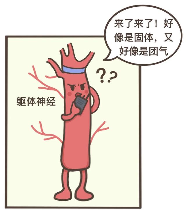 漫画科普：气态还是固态，它为何如此神秘？