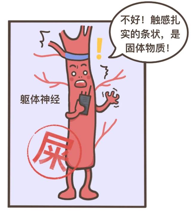 漫画科普：气态还是固态，它为何如此神秘？